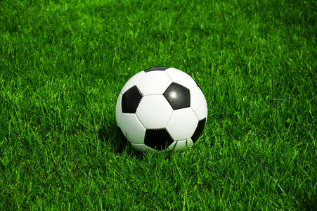 足彩胜平负计算器多平台支持