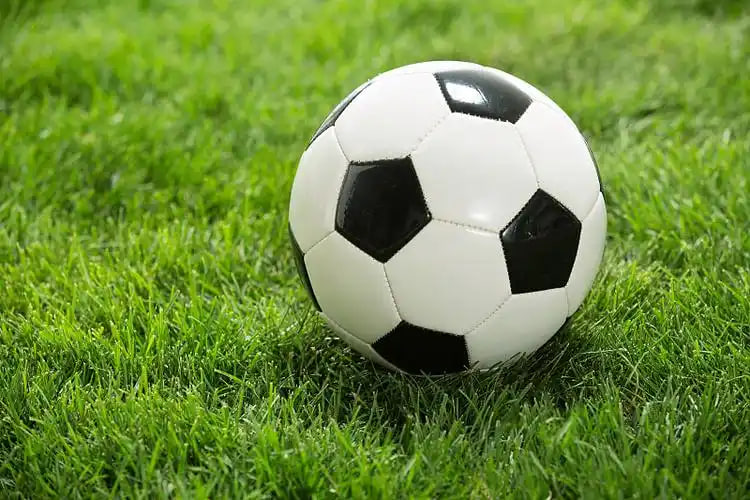 足彩胜平负计算器logo